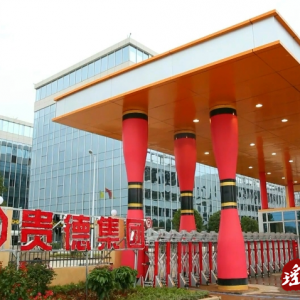 湖南贵德集团：乘势而上 稳步扩展东盟市场