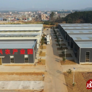 江华日日兴公司：迎来蔬菜出口新机遇 抢占东盟市场高地