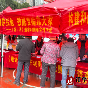 江华统计局开展《统计法》颁布40周年暨第五次全国经济普查宣传活动