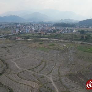 郭建成：红薯大丰收