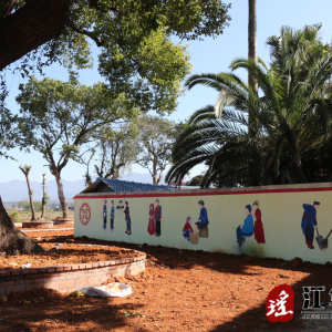 江华涛圩镇：人居环境整治见成效  和美乡村入画来