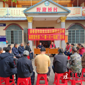 江华野猪桥村：“党建+文明实践”奏响乡村振兴新篇章
