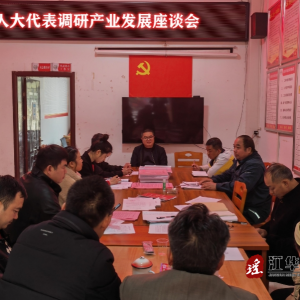 江华水口镇：人大代表调研产业发展助推乡村振兴
