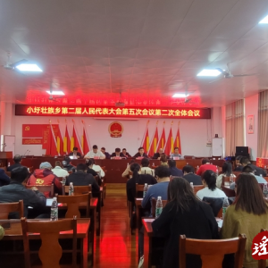 江华小圩壮族乡第二届人民代表大会第五次会议胜利召开