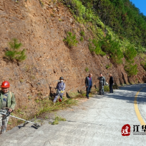 江华水口镇：开展砍青除障活动，保障群众出行安全