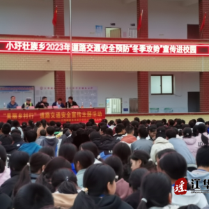 江华小圩壮族乡：交通安全宣传进校园铺就学子“平安路”