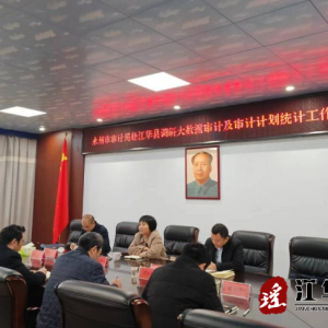 市审计局到江华开展大数据审计及审计计划统计工作专题调研