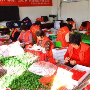 汝州这个村庄不简单，既有特色种植业，还有新型加工产业……