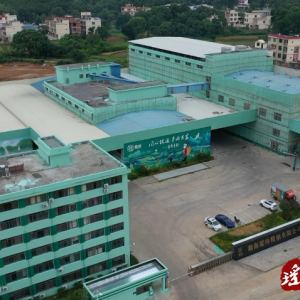 蒋珍凤：以企业力量推动湘米出湘