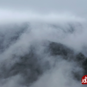 江华：山区道路浓雾+冻雨 交警全天候巡逻保通行