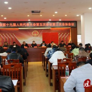 江华涛圩镇第十九届人民代表大会第五次会议胜利召开