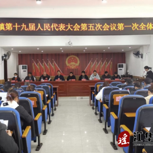 江华白芒营镇第十九届代表大会第五次会议胜利召开