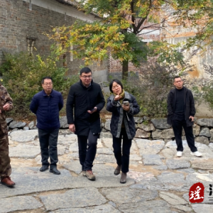 江华文旅广体局深入大石桥乡开展文保单位安全生产检查