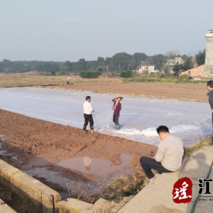 江华大石桥乡：湖南科技学院助力全县烟草产业高质量发展