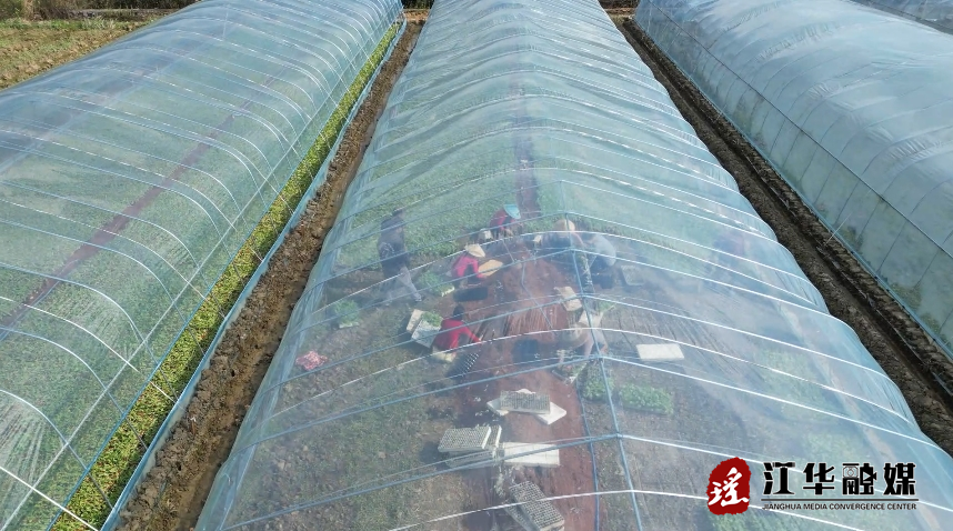 微信截图_20240221092617.png