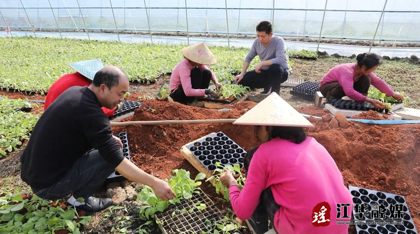 微信截图_20240221092704.png