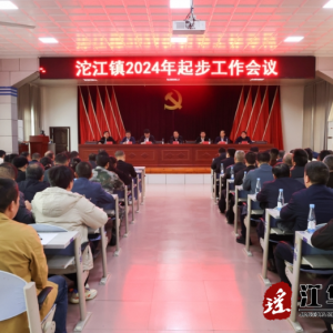 段贵建到沱江镇指导工作