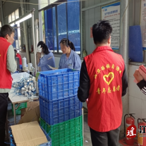 江华河路口镇：开展毒蘑菇安全宣传 筑牢食品安全防线