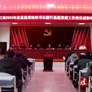 江华沱江镇召开2023年度基层党组织书记履行基层党建工作责任述职评议暨履行粮食生产工作责任述职会议