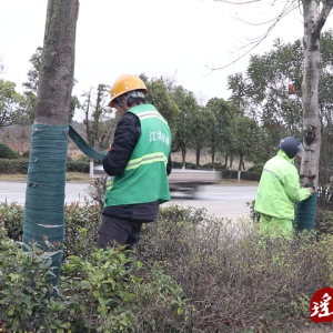 江华城市园林绿化服务中心积极应对低温天气