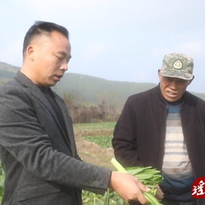 李昌鑫：发展蔬菜种植带领群众增收