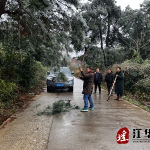 江华大石桥乡：清除路障保畅通 守护群众平安行