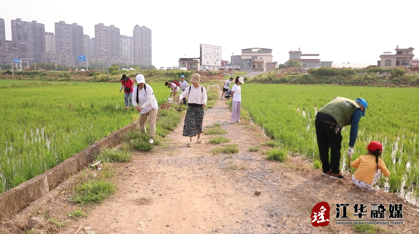 微信截图_20240226085033.png