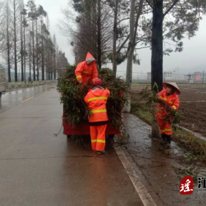 江华公路建设养护中心：及时清除冰冻掉落树枝 保障行车安全