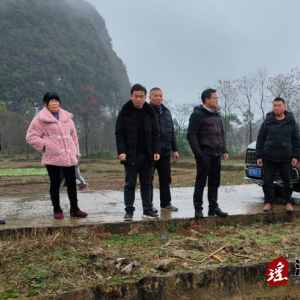 江华水口镇：土地流转促增收 春耕备耕农事忙