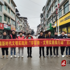 江华码市镇新时代文明实践所开展“学雷锋·文明实践我行动”主题活动