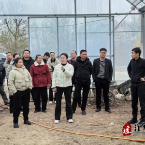 江华涛圩镇镇村干部赴界牌乡开展学习交流活动