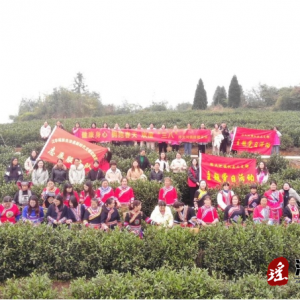 江华涔天河镇：开展庆祝“三八”妇女节主题活动
