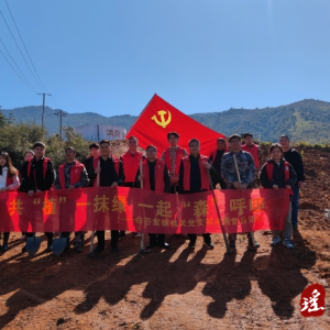 江华白芒营镇：机关党支部开展植树节主题党日活动