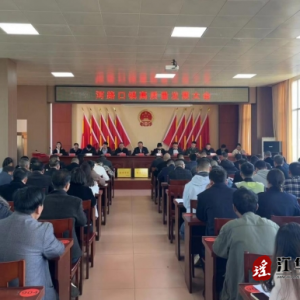 江华河路口镇召开高质量发展大会