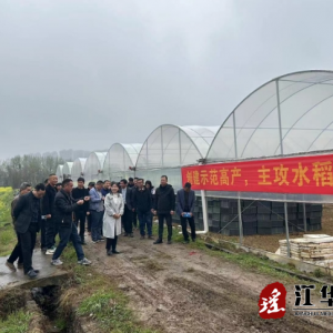 江华沱江镇：召开2024年粮食生产工作现场推进会