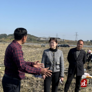 江华涛圩镇：人大代表带头致富 烤烟产业助农增收