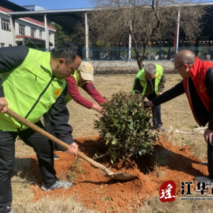 江华慈善志愿者协会：义务植树志愿服务活动