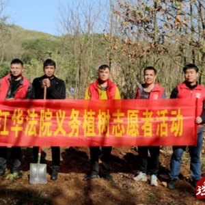江华法院：义务植树为春增色 共筑绿色健康瑶都