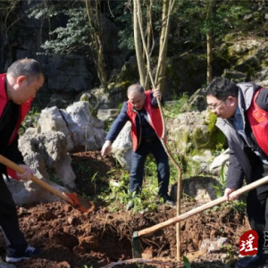 江华纪委监委：植此“青”绿 养一树“清”风