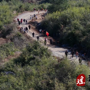 江华：植树正当时 携手添新绿