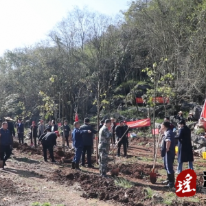 段贵建与县四大家领导带头参加义务植树活动