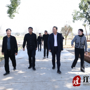 段贵建到涛圩调研乡村振兴与春耕生产工作