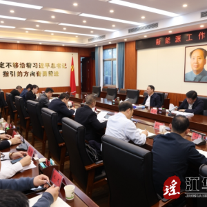 段贵建主持召开新能源工作座谈会