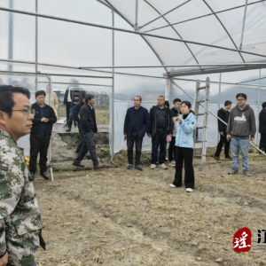 江华涛圩镇：开展早稻生产大比武 筑稳粮食安全“压舱石”