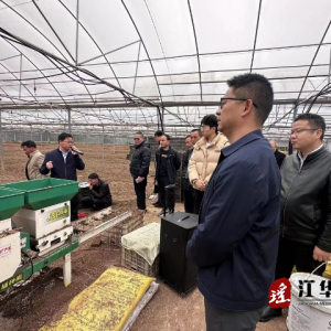 江华白芒营镇：春耕备耕 科技先行