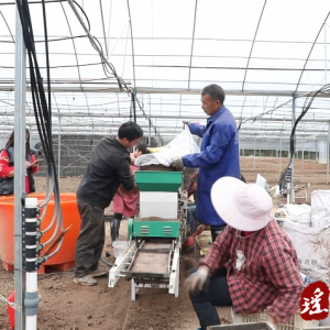 江华：集中育秧 助力春耕