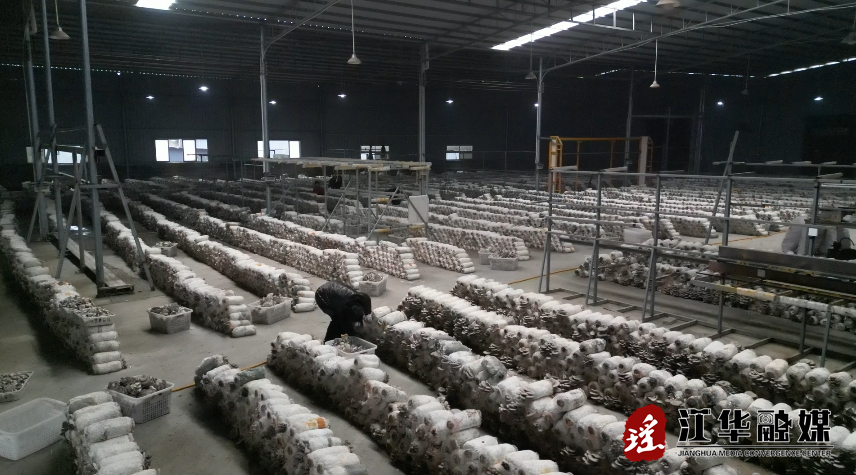 微信截图_20240319112913.png