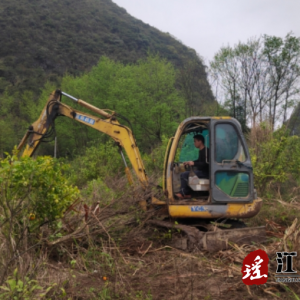 江华大圩镇：“非粮化”整治 备耕早稻生产抓牢“粮袋子”