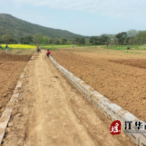 江华大路铺镇：群众自发修路 助力春耕生产