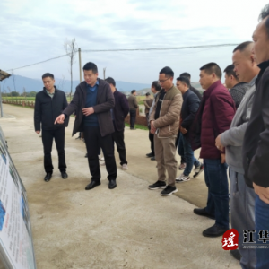 江华大圩镇村干部到界牌乡开展学习交流活动